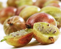 Плоды крыжовника широко применяются в лечебном питании при нарушении обмена веществ.