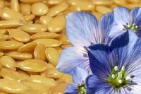 Льняное масло - незаменимый источник биологически ценных элементов питания, омега-3 и омега-6