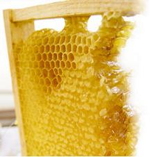 В сочетании с сотами полезные свойства меда усиливаются.